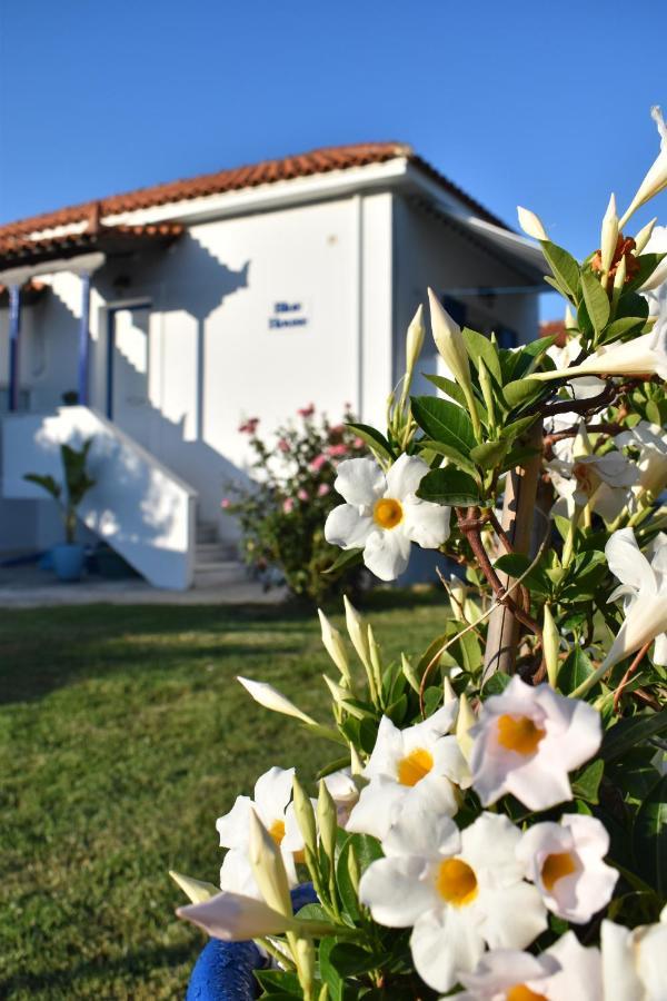Blue Houses Apartments Φοινικούντα Εξωτερικό φωτογραφία