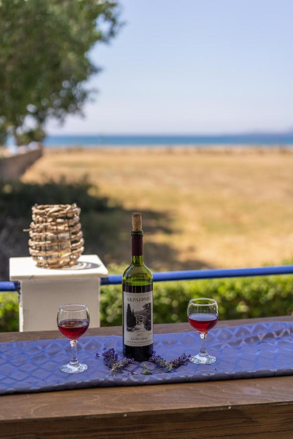 Blue Houses Apartments Φοινικούντα Εξωτερικό φωτογραφία
